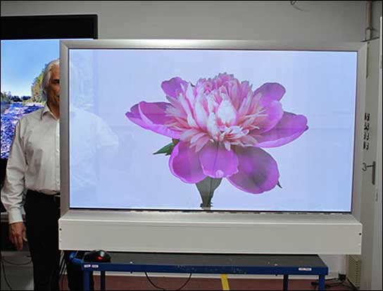Das EYE-TOLED-5500 ist im passiven Zustand transparent